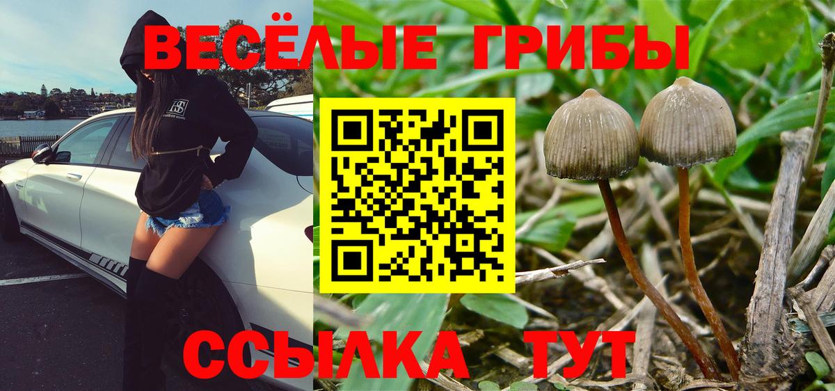 Псилоцибиновые грибы мицелий Ликино-Дулёво